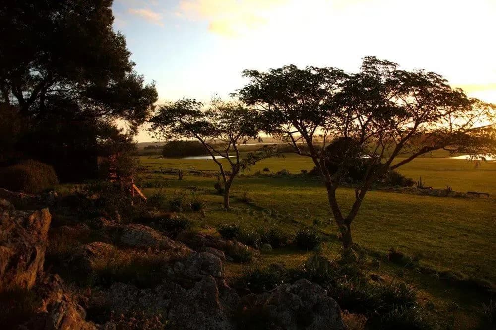 Las Piedras natural landscape