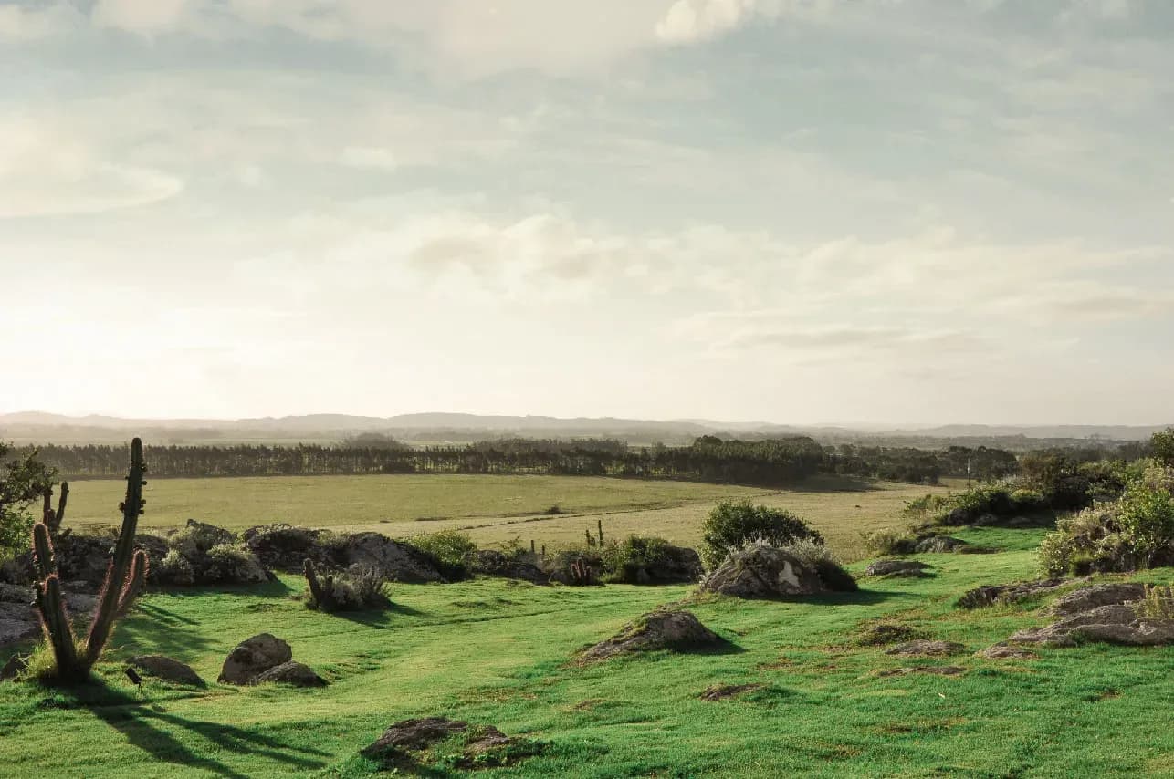Land parcels overlooking the 18-hole Arnold Palmer golf course at Fasano Las Piedras