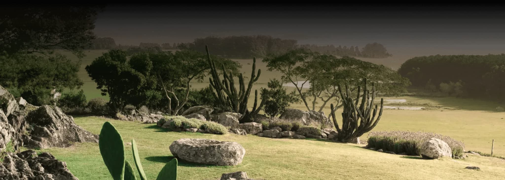 Punta del Este coastline landscape